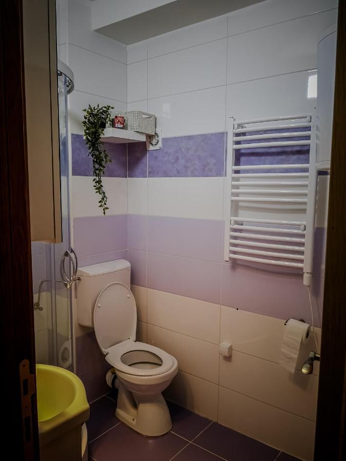 Star Apartman Brzece Kopaonik Ngoại thất bức ảnh
